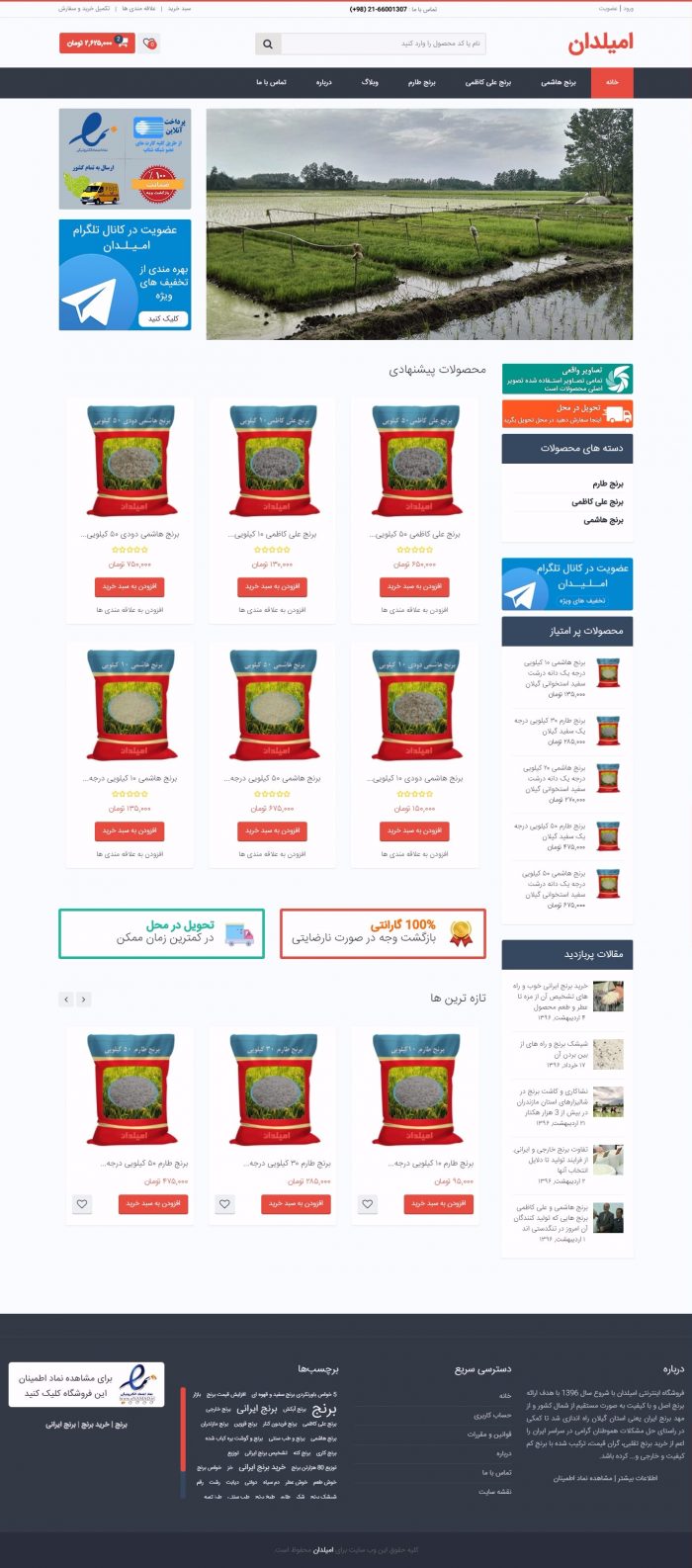 طراحی سایت فروشگاه امیلدان